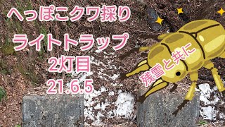 21.6.5ライトトラップ 2灯目