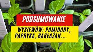 Pomidory gruntowe wysiane, pomidory koktajlowe i papryka popikowane, kalafiory i bakłażany