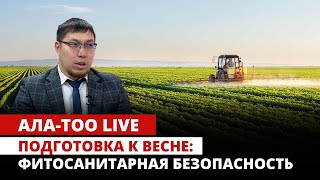 Подготовка к весне: фитосанитарная безопасность | Ала-Тоо Live | 29.02.2024