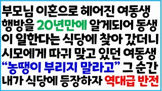 [반전사이다사연] 부모님 이혼으로 헤어진 여동생의 행방을 20년만에 알게되어 동생이 일한다는 식당에 찾아 갔더니 시모에게 싸다구를 맞는 여동생~ /라디오드라마/사연라디오/신청사연