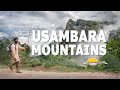 Hiking at the Usambara Mountains with Tanzania Horizon Safaris