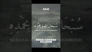 Allah #古兰经 #穆罕默德 #allah #islam