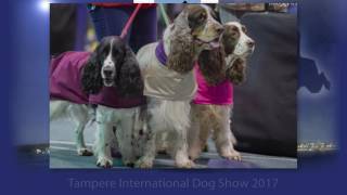 Tampere International all breed dogshow - Tampereen kansainvälinen koiranäyttely 2017