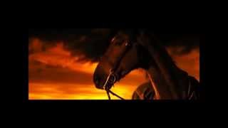 War Horse - Serenata Immortale