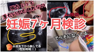 【妊娠7ヶ月】妊婦検診の1日【性別判明！】