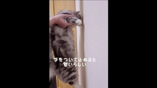 壁に手をついて止めると賢いらしい