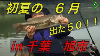 バス釣り 関東 千葉 野池 フローター初夏6月[にいやん バス釣りTV]旭市