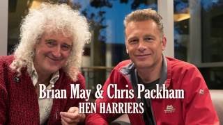 Brian May \u0026 Chris Packham: Hen Harriers