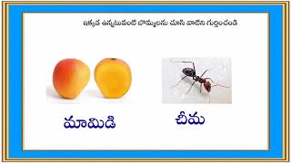 తెలుగు పదసంపద / Identify the images/ Learn telugu words