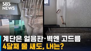 계단은 얼음판 · 벽엔 고드름…4달째 물 새도, LH는 / SBS