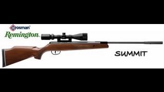 Crosman/Remington Summit Review .22 cal : The ideal sub $200 gun