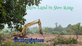 Farm land in Siem Reap រៀបចំដីធ្វើរបង