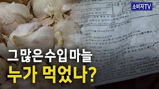 그 많은 수입 마늘 누가 먹었나?