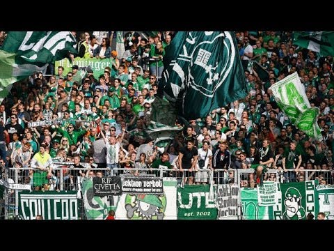 que torcida é essa 