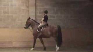 Ingela and Rebecca Riding