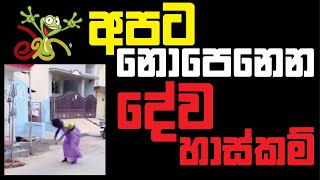 අපට නොපෙනෙන දේව හාස්කම් දෙවියන්ට වෙච්ච දෙයක්