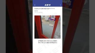 당황스러운 상황들 62탄 ㅋㅋㅋㅋㅋ