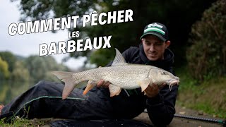 GROS BARBEAU EN RIVIERE avec Maxime Gruyer : comment pêcher et cibler cette espèce !