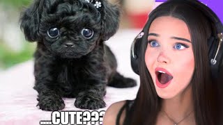 Memes That Dont Give You A Warning