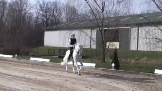 Paul and Excelso Demonstrate Two Tempi Flying Changes at Lost Hollow Farm