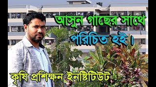 কৃষি প্রশিক্ষণ ইনষ্টিটিউট বাঞ্ছারামপুর ,ব্রাহ্মনবাড়িয়া এখানে রয়েছে বনজ ফলজও ঔষধি মিলিয়ে প্রায় ৫০০গাছ