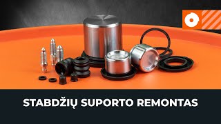 Stabdžių suporto remontas [AUTODOC PAMOKA]