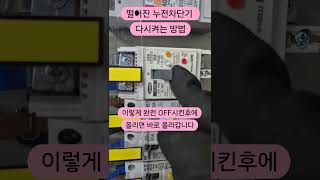 떨어진 누전차단기 다시 올리는 방법 #전기 #김준희