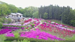 西田町ツツジの庭園  空撮  （郡山市）