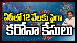 ఏపీలో 12 వేల పైగా కరోనా కేసులు | Corona Cases in Andhra Pradesh | TV5 News