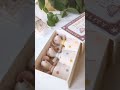 メイレグ「3つ子の赤ちゃんマウス マッチ箱」 maileg triplets in a match box