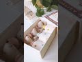 メイレグ「3つ子の赤ちゃんマウス マッチ箱」 maileg triplets in a match box