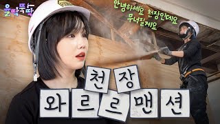 [극장판] 유리는 못말려! 와르르! 혼돈의 낡은 천장 복구 대작전🏠🔨🔨 | 율딱뚝딱 ep.5 #이유리