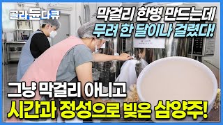 그냥 막걸리가 아니라 세 번에 걸쳐서 빚은 술 ‘삼양주’┃한 달이라는 시간과 정성이 들어가 더욱 맛있는 전통주┃양평에서 나는 친환경 재료로 만든 국화 막걸리┃고향민국┃#골라듄다큐