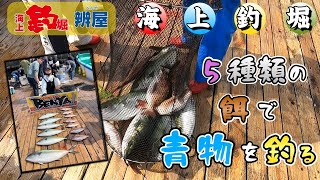 【海上釣堀】表層の青物高活性！！さぁどうする？後編