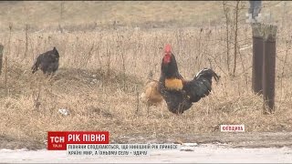 На що сподіваються у новому році люди з села під назвою \