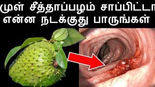 முள் சீத்தாப்பழம் சாப்பிட்டால் பாருங்கள் | Soursop Benefits and Side Effects