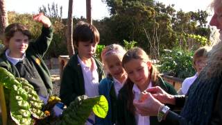 Out of  School Learning at Lewes Organic Allotment project:  \