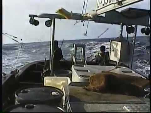 Tuna Fishing 200 Miles Off Vancouver Island British Columbia - YouTube