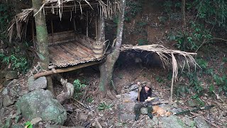 Surprise with Deep Forest Shelter, Wild Food, Catch and Cook: Survival Alone | EP.222