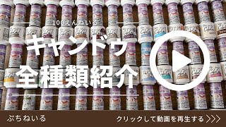 【キャンドゥジェルネイル】キャンドゥジェルネイルのカラージェルを全種類紹介！