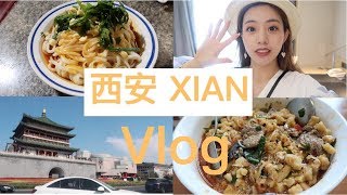 西安vlog | 老年人在西安的三天 | 吃吃喝喝流水账