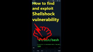 scan and exploit shellshock vulnerability | nikto | Metasploit |