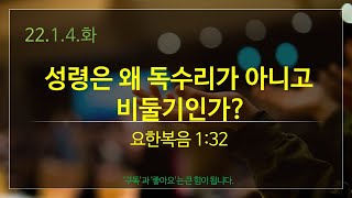 말씀과함께하루를(1.4.화), 성령은 왜 독수리가 아니고 비둘기인가?, 요한복음 1:32