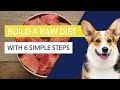 Build A Raw Diet With 6 Simple Steps