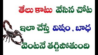 తేలు కాటు విషం విరుగుడుకి అద్భుత చిట్కా || Home Remedy for Scarpian Bite