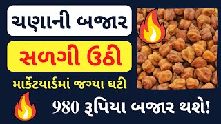 ચણાની બજાર સળગી ઉઠી || ચણાના ભાવ || બજારભાવ || ચણા || Chana Na Bhav || Bajarbhav || Today Bajarbhav