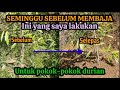 SEMINGGU SEBELUM MEMBAJA - Saya lakukan ini