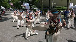 2024東京よさこいなな丸隊　スーパーよさこい　NHK前ストリート演舞　「晴夜」