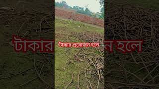 হঠাৎ করে যদি আপনার টাকার প্রয়োজন হয় তাহলে এই দোয়াটি পাঠ করুন টাকা পাবেন ইনশাল্লাহ একসময়