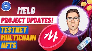 MAJOR MELD NEWS - Mainnet TIMELINE, Testnet Progress \u0026 Multichain Updates!